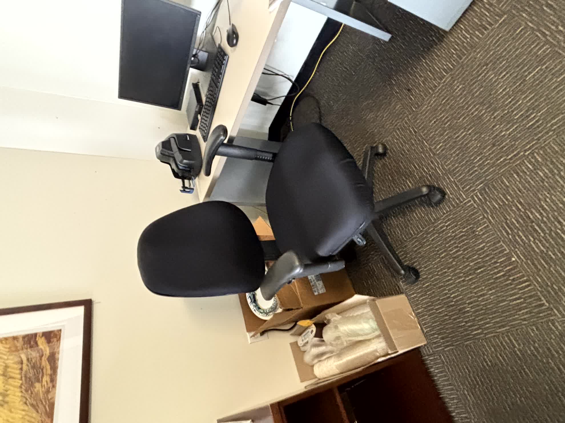 Ergo Chair (Arm)
